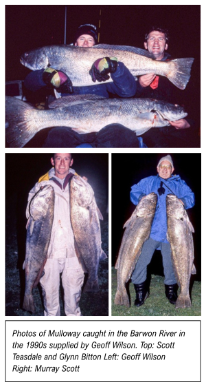 90s mulloway