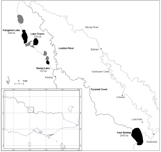 Figure 1. The Kerang Lakes of north western Victoria. The four lakes (in black) indicate research locations.