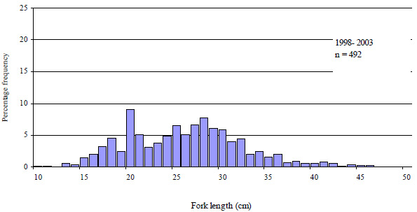 &quot;Graph: Figure 31. Size composition of brown trout, both retained and released caught by anglers contributing to the Fishing Diary Program who fished in the Goulburn River from 1998 to 2003 (n=number of fish measured)&quot;