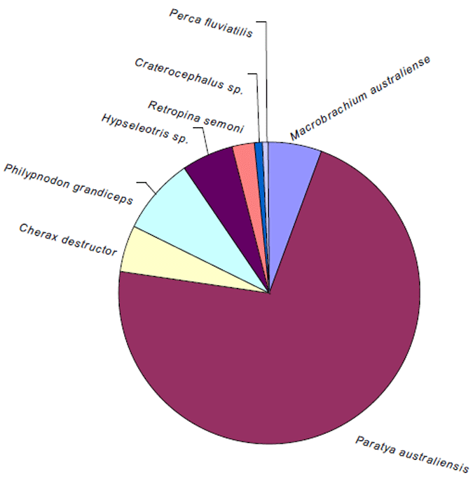 Proportion of small species capture from light and bait trap survey at Picnic Point.