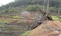 FAD1 during construction at Jerusalem Creek, Lake Eildon