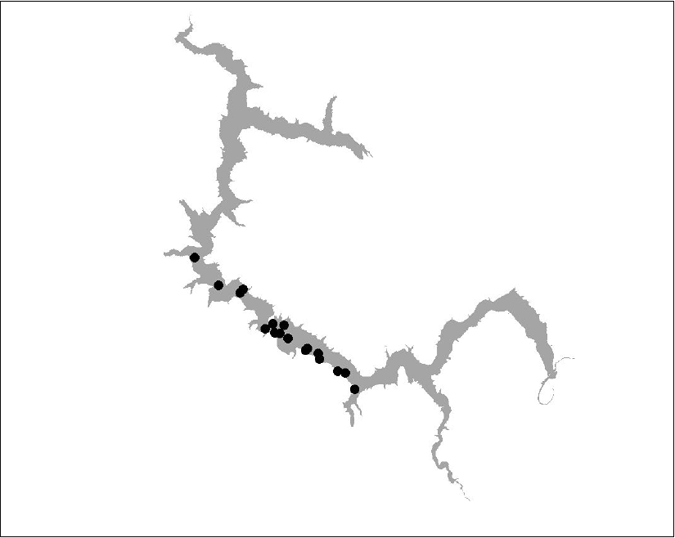 Figure 20 BT 21