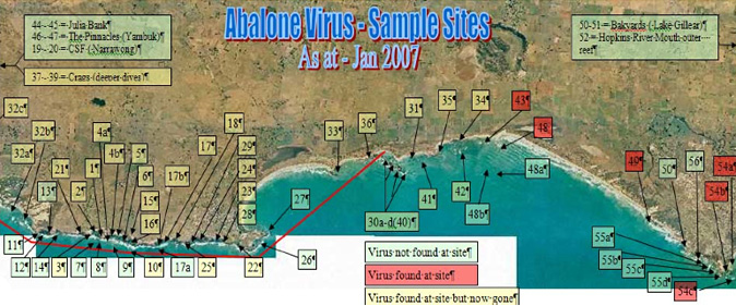 Figure 2 - Results of monitoring for the virus &amp;uml;C to January 2007 (courtesy of Fisheries Victoria)