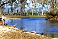 Troutspinning on the Goulburn River