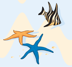 Illustration of a fish and starfish