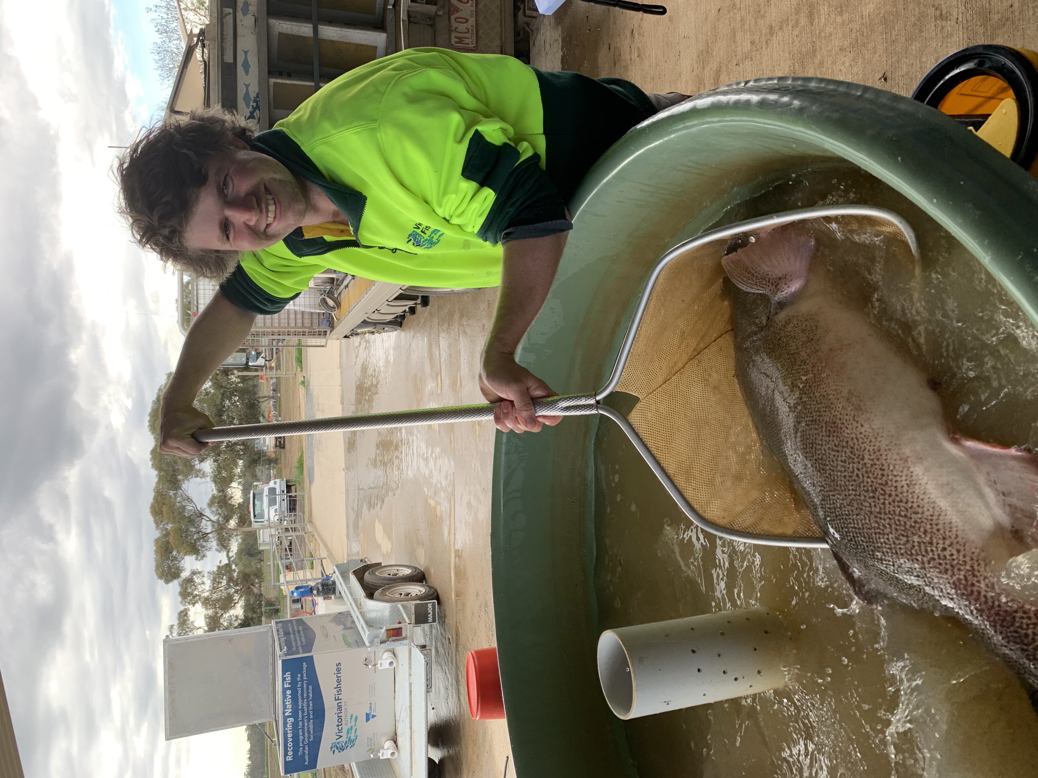 Whitehorse Area, VIC, Fishing