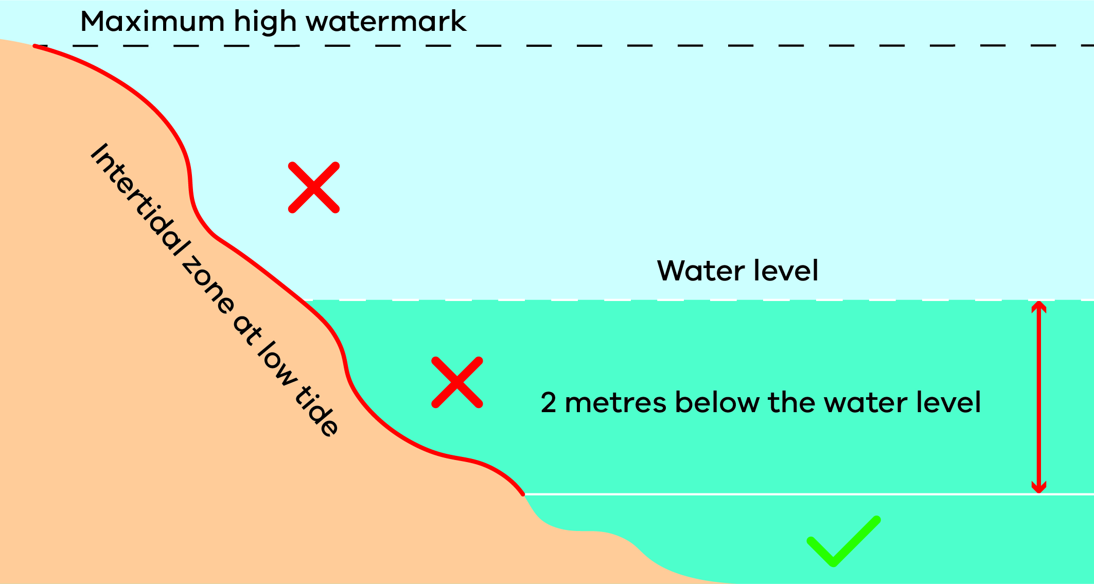Intertidal zone at low tide