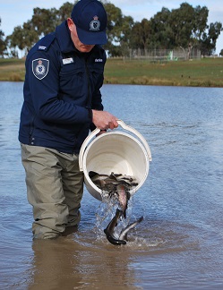 Fishing Stocking Program