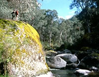 East Kiewa River