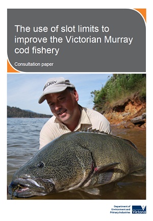 murray cod consultation paper cover shot