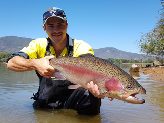 Hatchery trout & PowerBait at lowland lakes: Great times for tens