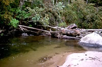 West Kiewa River