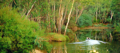 Australia, Victoria, Harrietville, Ovens River Stock Photo - Alamy