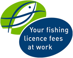 Your fishing license fees at work logo