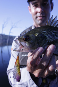 Man holding fish