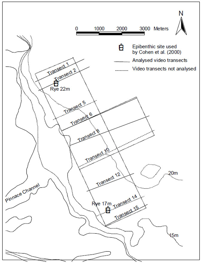 Figure 6.1. Pinnace Channel Aquaculture Site and location of the epibenthic transects sampled in the baseline survey of the area using a video sled. Video analyses were carried out for those transects shown as solid lines.