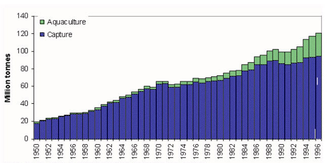 Aquaculture and capture fisheries production 1950-1996