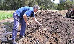 Fig 1. Compost windrow at a trout farm in the Goulburn Valley.