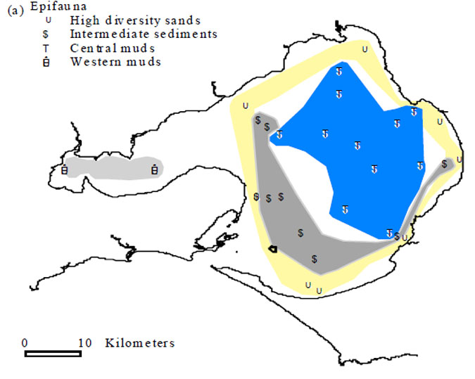 Figure 6.2. Map of Port Phillip Bay showing location of epifaunal stations and their classification into four communities based on MDS ordinations.