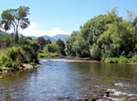 Kiewa River below Mt Beauty