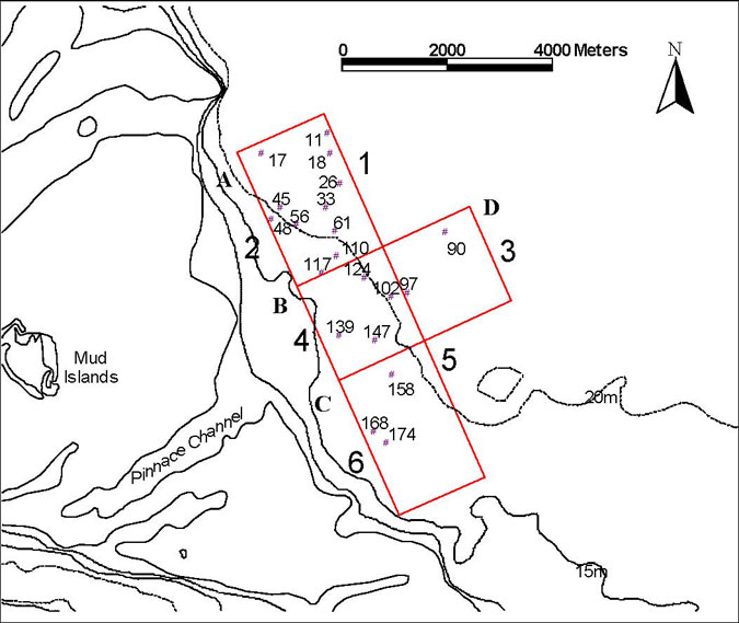 Figure 2.1. Diagram of the Pinnace Channel Aquaculture Site and locations of the stations investigated in the baseline survey of the area.