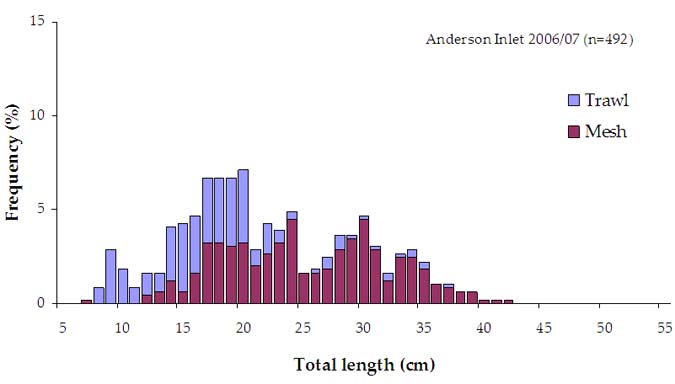  Figure 12. Length (TL) distribution of estuary perch caught by mesh and trawl net in Anderson Inlet for 2006/07 (n = number of fish measured). 