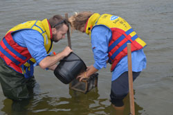 Two men stocking Eastern King Prawns into Lake Tyers