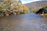 Wonnangatta River