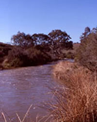 Barwon River above Ceres