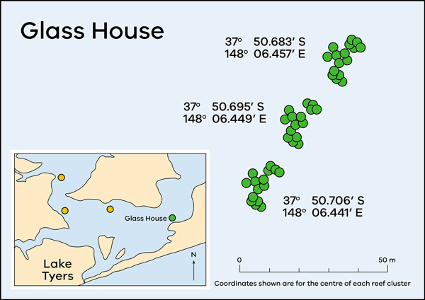 Map of Lake Tyers showing artificial reef locations at Glass House.