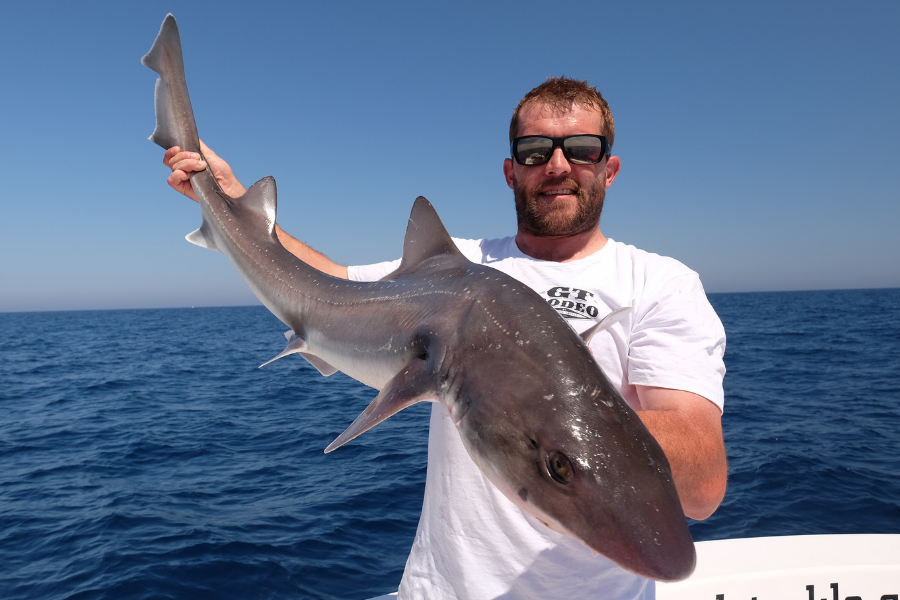 Kayak fishing for gummy sharks - Fishing World Australia