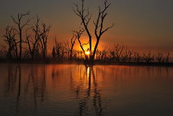 Lake Toolonga