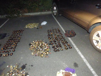 Seized shellfish