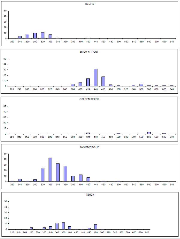 Figure 4 Length-frequency composition for species sampled from Cairn Curran Reservoir (August 2005)