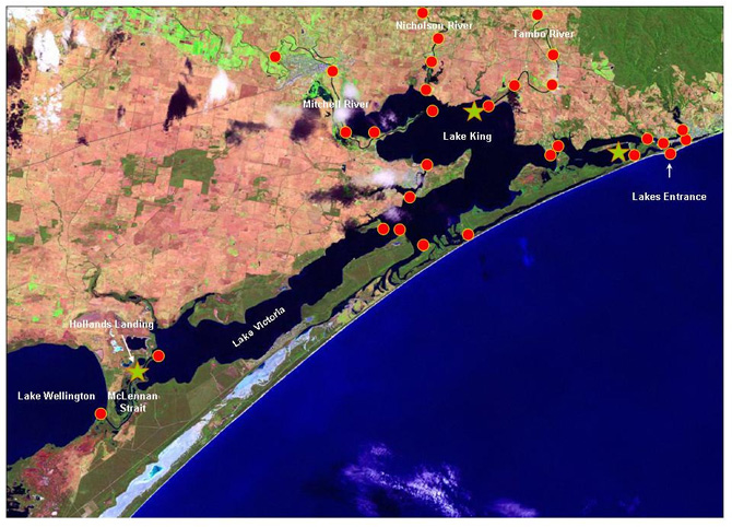Figure 3. Map of locations of acoustic receivers and areas within which fish were tagged and released.