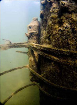 Figure 4. Acoustic receiver attached underwater to the pole of a navigational marker. Picture J. Hindell.