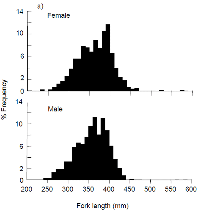 Mean length (&amp;plusmn; 1 standard error) of King George whiting sampled by recreational anglers compared across sampling locations from east to west.