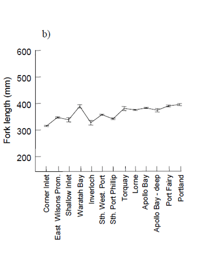 Length frequency distributions for female and male King George whiting sampled by recreational anglers from Victorian waters and examined for reproductive condition, November 2002 - June 2004