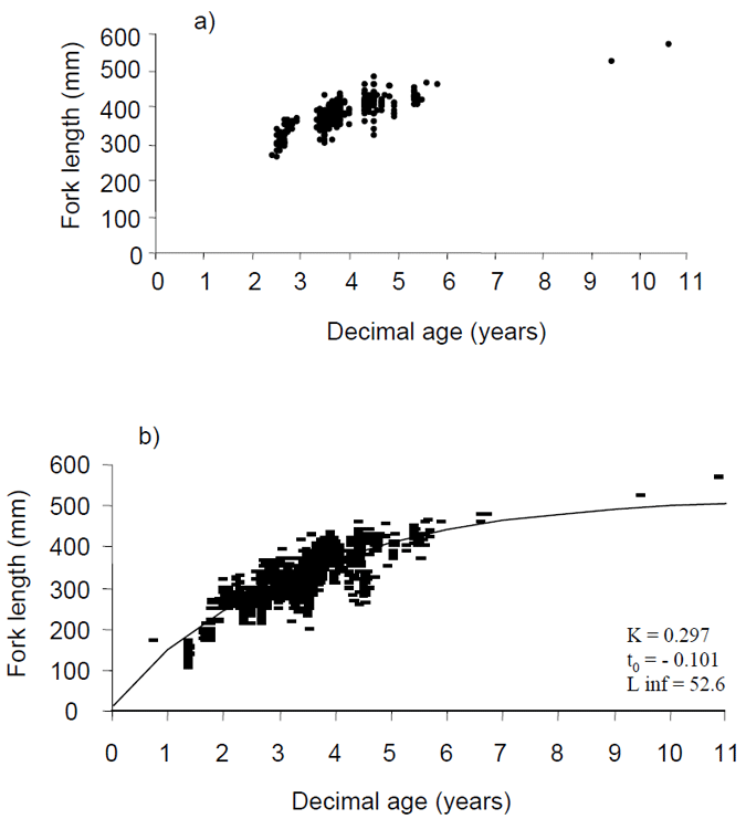 a) Age versus length of King George whiting sampled by recreational anglers in Victorian ocean waters and the entrance regions of Port Phillip and Western Port Bays, November 2002 - June 2003, b) age versus length with von-Bertalanffy growth curve fitted for all King George whiting aged from Victorian waters including bays and inlets. The fork length is shown on the X axis and is measured in milimetres. On the Y axis is decimal age measured in years.