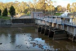 Within old surface release building on Goulburn Weir