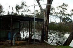 Approximately 600m upstream of Chinamens Bridge on left hand bank