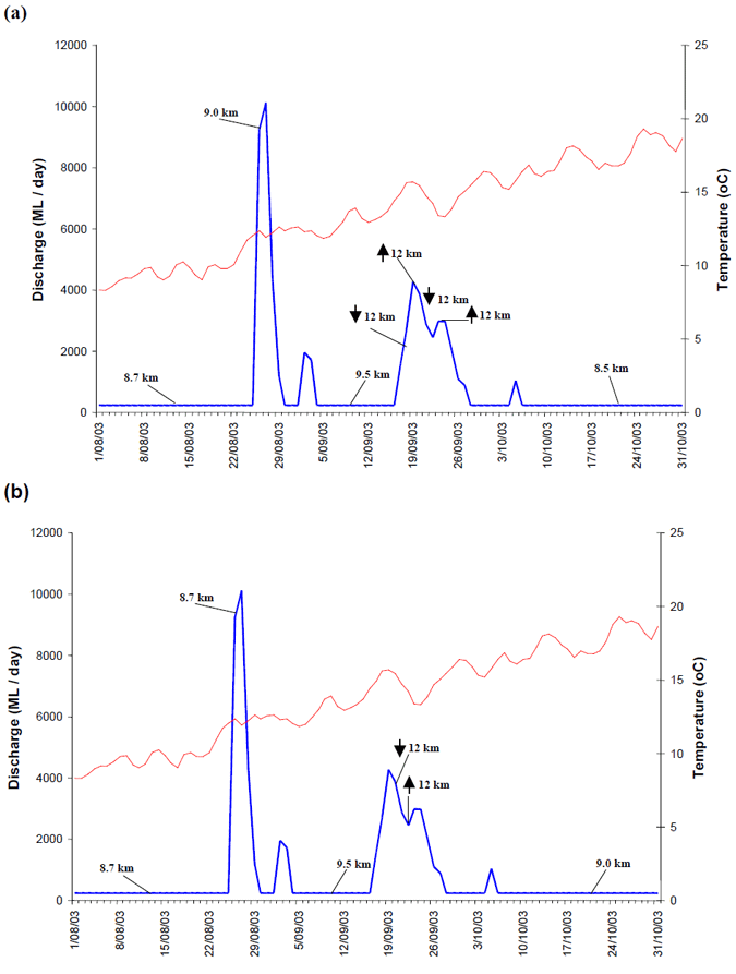 Schematic diagram of the location of golden perch (a) #31213 and (b) #33412 in the Goulburn River in comparison to average daily river discharge and temperature. 
