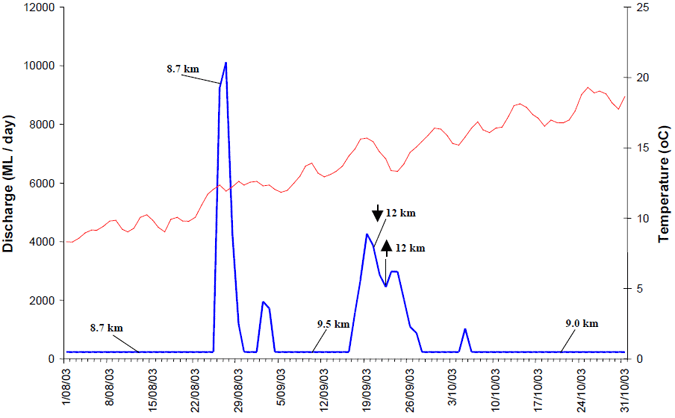 Schematic diagram of the location of golden perch #35413 in the Goulburn River in comparison to average daily river discharge and temperature.