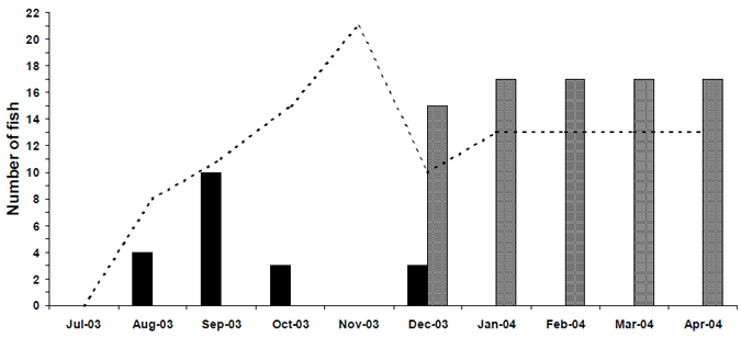 Summary of Murray cod tracked in the Nagambie Lakes System.