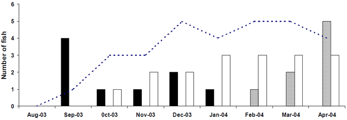 Figure 3: Summary of the number of golden perch tracked in the Nagambie Lakes System. Data includes fish recorded on mortality (dashed line), fish not found (black columns), fish exiting NLS downstream (white columns) and fish exiting NLS upstream (stippled columns).