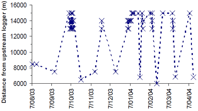 Recorded movement of golden perch #33417