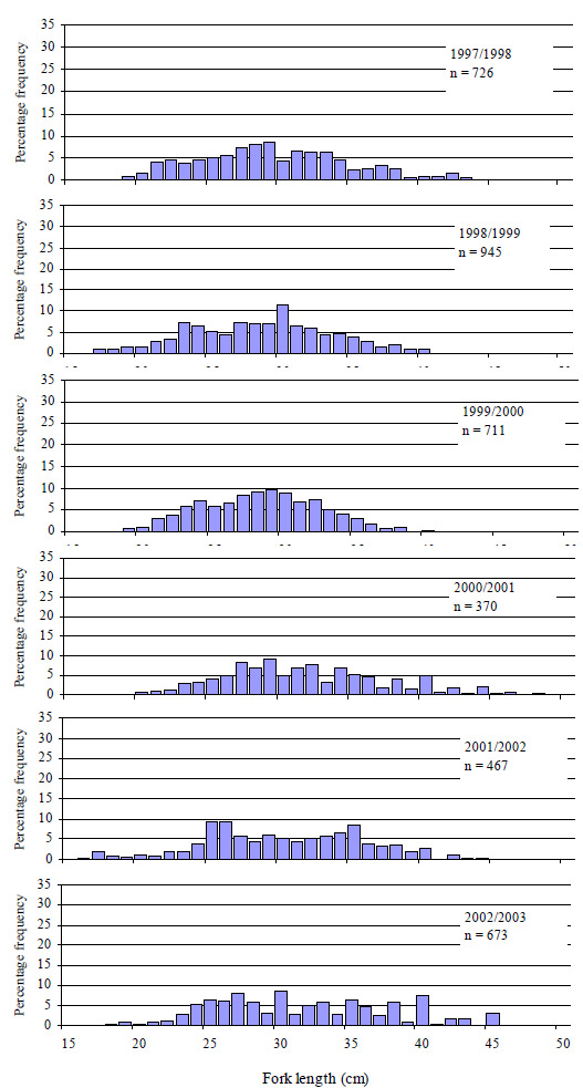 Graph: Figure 19. Size composition of all King George whiting caught (both retained and released) by anglers contributing to the Fishing Diary Program who fished in Port Phillip Bay from 1997 to 2003 (n=number of fish measured).