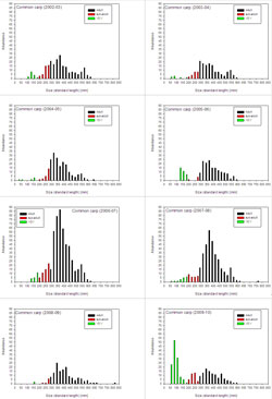 RFL Mallee - figure 10