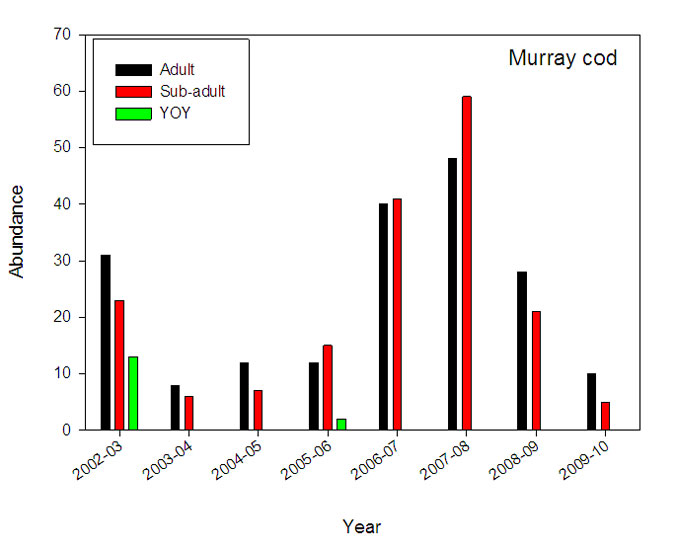 RFL Mallee - figure 2