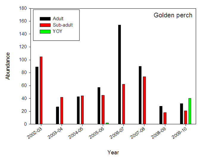 RFL Mallee - figure 3
